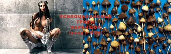 мяу мяу мука Кулебаки