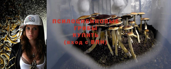 гашик Куйбышев